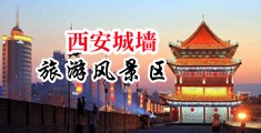 插插插A级黄片中国陕西-西安城墙旅游风景区