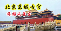 极品嫩穴美女一线天自慰特写中国北京-东城古宫旅游风景区